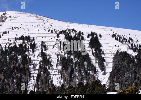 Sciare sulle Dolomiti, Val di Fiemme, Italia. Foto Stock