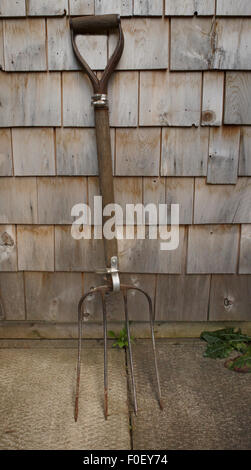 Vecchio forcone appoggiata contro un cedro parete incastrata Foto Stock