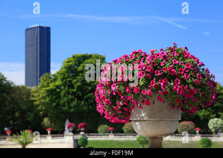 Fiori al Jardin du Luxembourg con il grosso della Tour Montparnasse in background, Parigi, Francia, Europa Foto Stock