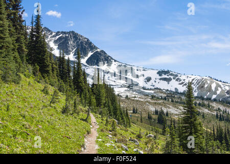 Vista lungo l'Overlord sentiero verso la vetta del Monte Blackcomb, estate, Whistler, BC, Canada Foto Stock