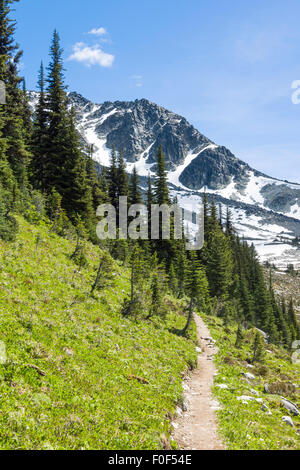 Vista lungo l'Overlord sentiero verso la vetta del Monte Blackcomb, estate, Whistler, BC, Canada Foto Stock