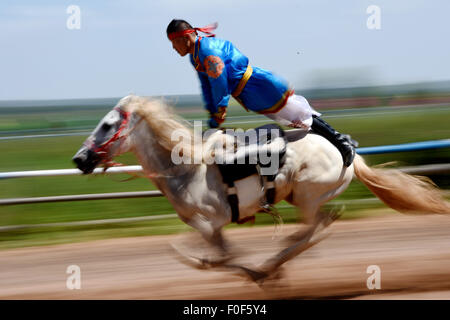 Ordos, la Cina della Mongolia Interna Regione Autonoma. 14 Ago, 2015. Un uomo mongolo mostra il suo equitazione abilità al mausoleo di Gengis Khan in Ejin Horo Banner, a nord della Cina di Mongolia Interna Regione Autonoma, 14 agosto 2015. Durante il tempo del decimo Nazionale Giochi tradizionali delle minoranze etniche della Cina, pastori locali hanno presentato la loro equitazione competenze e eseguita ippica per visitatori presso il mausoleo di Gengis Khan, il 13esimo secolo guerriero mongolo e fondatore dell'Impero Mongolo, qui a Ordos venerdì. © Wang Peng/Xinhua/Alamy Live News Foto Stock