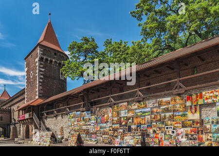 La parete della città presso la Porta di Florian è rimasta solo la porta della città di Cracovia pareti, Cracovia, Piccola Polonia, Polonia, Europa Foto Stock