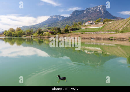 Lac de Saint André e Mont Granier, Les marche. Savoie, Francia Foto Stock