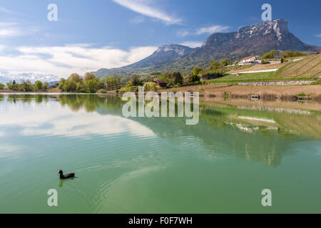 Lac de Saint André e Mont Granier, Les marche. Savoie, Francia Foto Stock