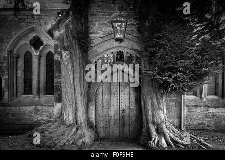 La porta nord di St Edwards chiesa con due antiche yew alberi su entrambi i lati, Stow on the Wold, Gloucestershire, England, Regno Unito Foto Stock