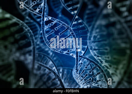 Filamenti a spirale del DNA su sfondo scuro Foto Stock