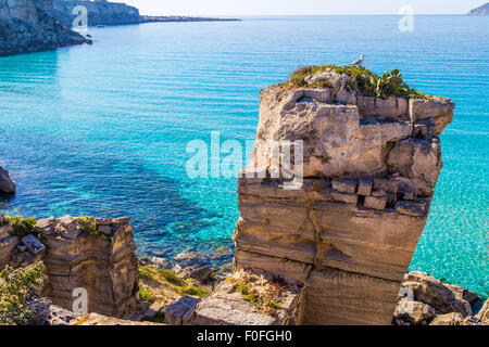 Seagull in appoggio su di una roccia sull' isola di Favignana in Sicilia, Italia Foto Stock