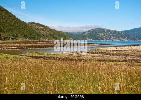 Paesaggio norvegese. Paesaggio panoramico in Bindal Nel Nordland, Norvegia su una soleggiata giornata estiva. Foto Stock