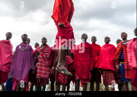 Salto tradizionale danza popolo Masai Mara Naboisho conservancy Kenya Africa Foto Stock