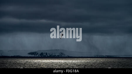 Northern fulmar in volo lo Spitsbergen Svalbard Norvegia Circolo Polare Artico Scandinavia Foto Stock