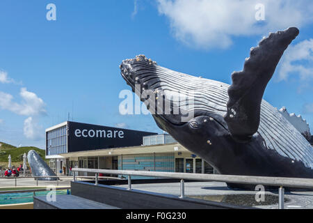 Humpback Whale scultura a Ecomare, guarnizione santuario e centro per la natura e la vita marina in Texel, Paesi Bassi Foto Stock