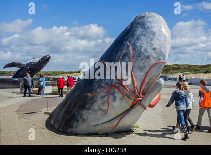 Scultura di capodoglio di mangiare i calamari a Ecomare, guarnizione santuario e centro per la natura e la vita marina in Texel, Paesi Bassi Foto Stock