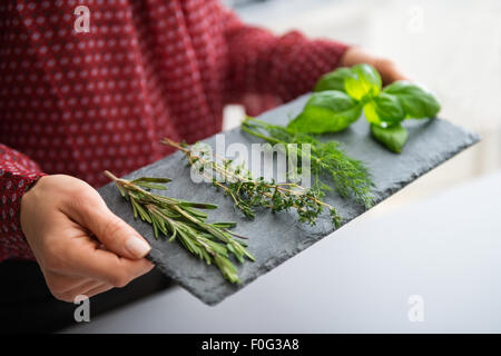 Alcuni rametti di rosmarino fresco, timo, aneto e basilico sono disposti su una pietra ardesia piatto. Possiamo vedere un primo piano di un elegante donna di mano che tiene l'ardesia. Foto Stock