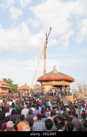 Il 25m alto pole-lingam che verrà estratto dal suolo durante il Bisket Jatra festeggiamenti di capodanno a Bhaktapur, Nepal Foto Stock