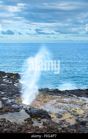 Un reef in Kauai Hawaii ospita un foro di sfiato che quando si gonfia hit, acqua becchi fuori del foro in alto l'aria. Foto Stock