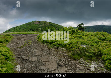 L'Appalachian Trail si snoda fino Jane Calvo al rododendro un giardino che copre il suo picco Foto Stock