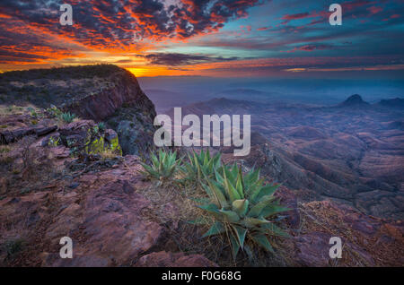 Parco nazionale di Big Bend in Texas è la più grande area protetta del deserto del Chihuahuan negli Stati Uniti. Foto Stock