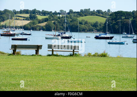 Dittisham, River Dart, Devon, Inghilterra Foto Stock