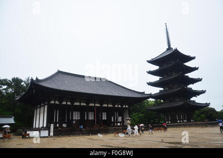 Visitare la gente e la corsa al tempio Kofukuji mentre piove il 7 luglio 2015 a Nara, Giappone Foto Stock