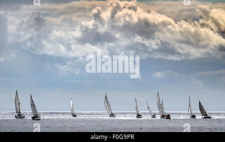 Panorama di numerosi yacht all'orizzonte. Yacht race o regata gara ad Arbroath Mare Fest, un festival annuale del mare tenutasi lungo Arbroath sul lungomare in giro per la città è affascinante porto e nuovo yacht marina. Istituito nel 1997, Mare Fest è una festa popolare di Arbroath il meraviglioso patrimonio marittimo, che attrae oltre 30.000 visitatori & marinai oltre le sue due giorni nel mese di agosto di ogni anno. Foto Stock