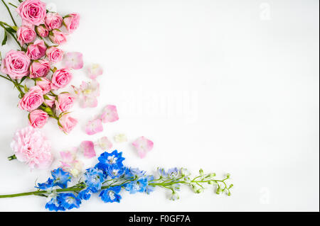 Le ortensie blu rose di garofano copia confine dello spazio Foto Stock