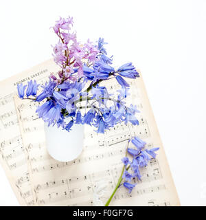 Bluebells in bottiglia bianca su vintage carta da musica Foto Stock