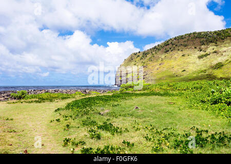 Un campo erboso lungo una spiaggia tropicale in Hawaii mette in evidenza la natura lussureggiante delle isole pilotato in parte dalla pioggia abbondante.B Foto Stock