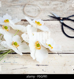 Anemoni giapponesi con le forbici e lo spago Foto Stock