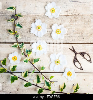 Anemoni giapponesi con le forbici ed edera Foto Stock