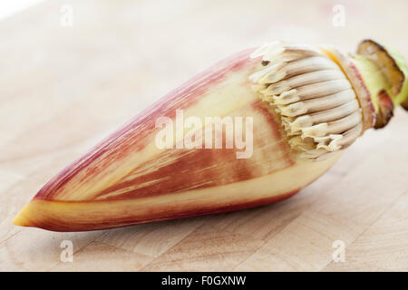Una banana blossom o banana cuore fotografato su una superficie in legno con finestra luce. Foto Stock