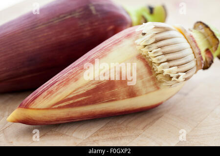 Fiore di banana o una banana cuore fotografato su una superficie in legno con finestra luce. Foto Stock