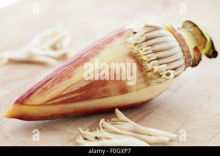 Una banana blossom o banana cuore fotografato su una superficie in legno con finestra luce. Foto Stock