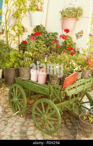 Vecchio legno verde carro riempito di fiori Foto Stock