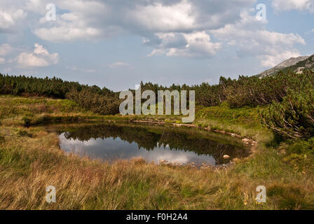 Piccolo lago chiamato Troisnak Posredni in Dolina Zielona Gasienicowa valley in Tatry montagne Foto Stock