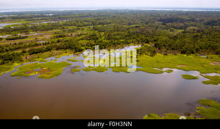 Fiume del Amazon floodplane lago vicino a Iquitos antenna Foto Stock