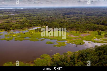 Amazon River floodplain vicino a Iquitos antenna Foto Stock