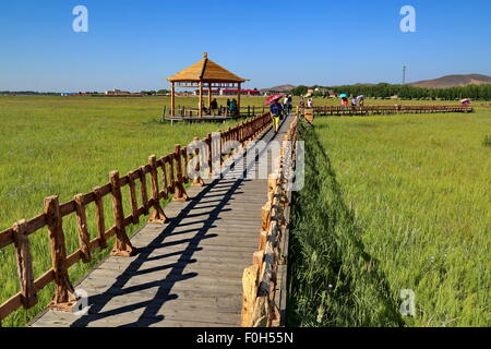 Shijiazhuang cinese nella provincia di Hebei. Il 15 agosto, 2015. Turisti visitano Wuhua prato resort nella contea di Guyuan, nel nord della Cina di nella provincia di Hebei, 15 agosto 2015. © Yang Shiyao/Xinhua/Alamy Live News Foto Stock