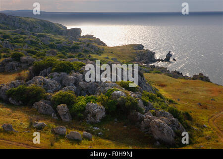 Steppa Bagerova il paesaggio costiero, penisola di Kerch, Crimea, Ucraina, Luglio 2009 Foto Stock