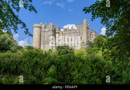 Vista del Castello di Arundel attraverso gli alberi e i cespugli in estate in Arundel, West Sussex, in Inghilterra, Regno Unito. Arundel Regno Unito. Foto Stock