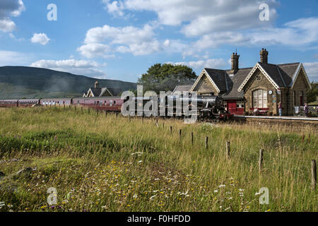 Stazione Ribblehead. Treno a vapore "l' Fellsman tirato da ex-LMS Stanier Class 5 locomotore n. 45231 "Sherwood Forester'. Foto Stock