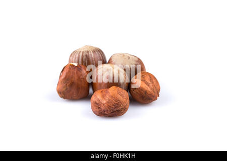 Le nocciole noci nocciole isolati su sfondo bianco Foto Stock