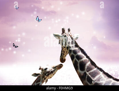 Due giraffe, la madre e il bambino in amicizia o l' amore foto tema al crepuscolo Foto Stock