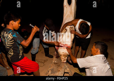 Provincia di Coclé, Repubblica di Panama, 16th agosto 2015. Il maiale della famiglia Martinez, Pancho, viene spartito il giorno della sua macellazione. Dall'interno della provincia di Coclé, Repubblica di Panama, America Centrale. Credit: Oyvind Martinsen/Alamy Live News Foto Stock