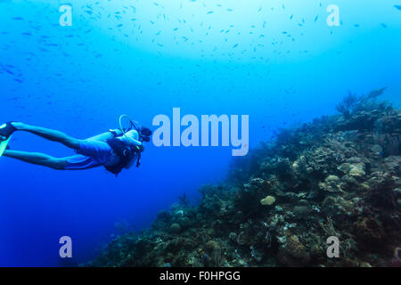 Sub nuota nel blu oceano sulla barriera corallina con la scuola di pesci di piccole dimensioni Foto Stock