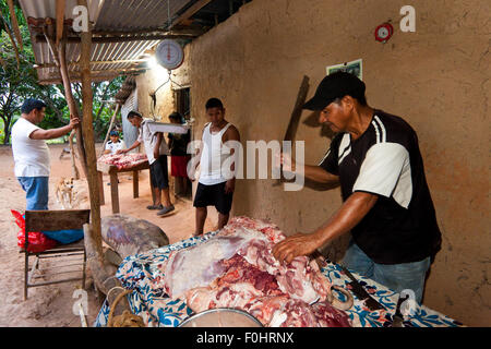 Provincia di Coclé, Repubblica di Panama, 16th agosto. 2015. Il maiale della famiglia Martinez, Pancho, viene spartito il giorno della macellazione. Dall'interno della provincia di Coclé, Repubblica di Panama, America Centrale. Credit: Oyvind Martinsen/Alamy Live News Foto Stock