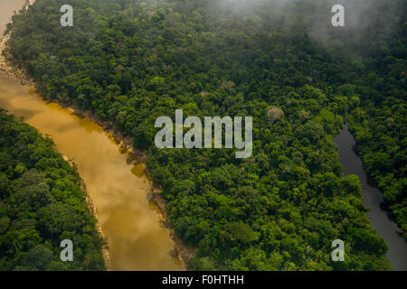 La foresta pluviale amazzonica antenna. Foresta primaria, Yavari Miri Fiume e lanca, tra Iquitos, Perù e brasiliano confine Foto Stock