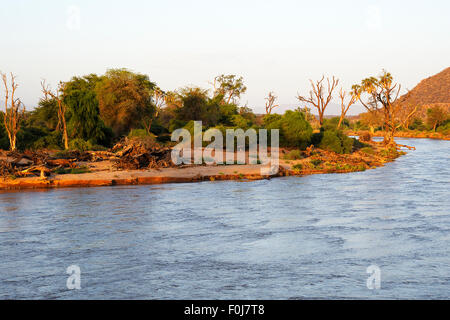 Uaso Nyiro nella luce della sera, Samburu riserva nazionale, Kenya Foto Stock