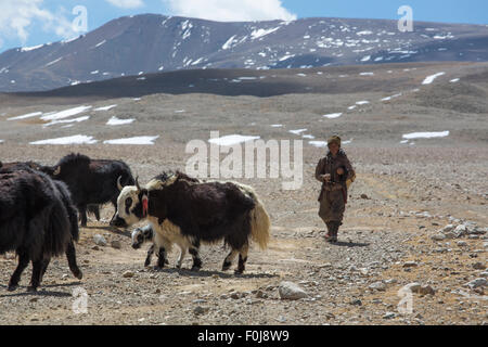 Non identificato di yak tibetani uomo a seguito del suo gruppo di yak in Himalaya mountain range in background. Il Tibet, Cina, 2013. Foto Stock