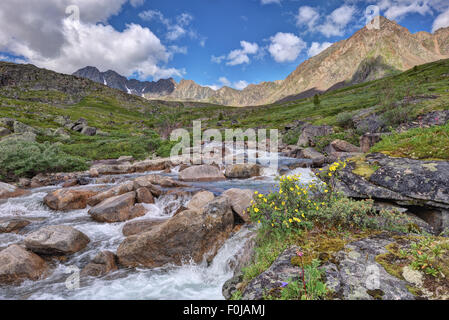 Un piccolo fiume di montagna tundra. Gamma Tunka. Buryatia Foto Stock